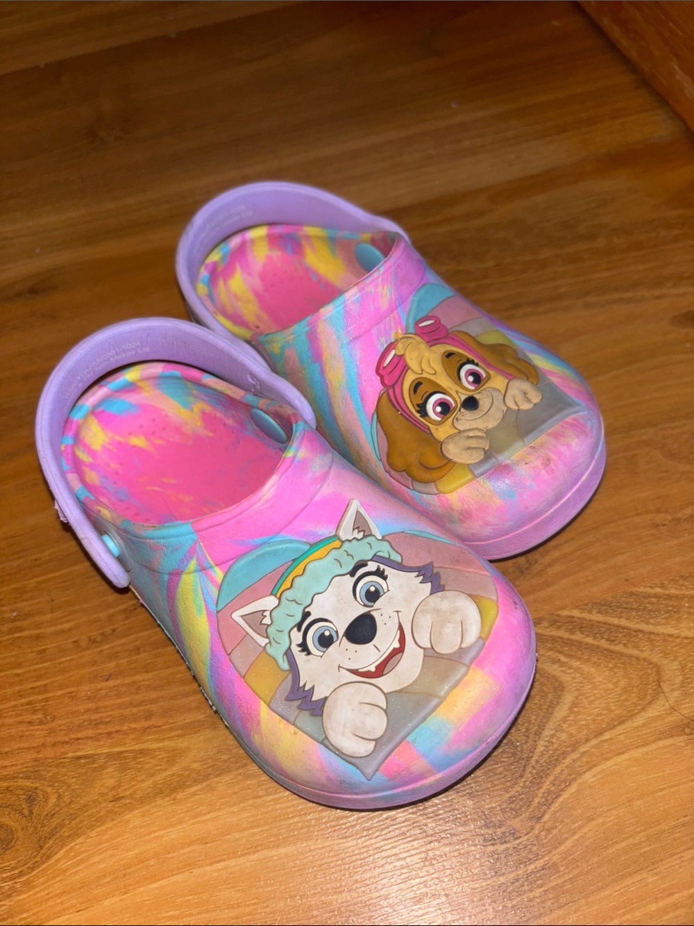 Paw Patrol Croc like shoes